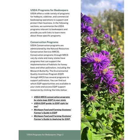 USDA Programs and Resources to Support Beekeepers - muktibox.com