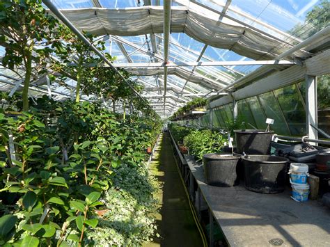 USDA Studies Plant Nursery Runoff Remediation - raincitystudios.com