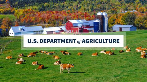 USDA to Begin Issuing $1.75 Billion to Agricultural … - balustradellc