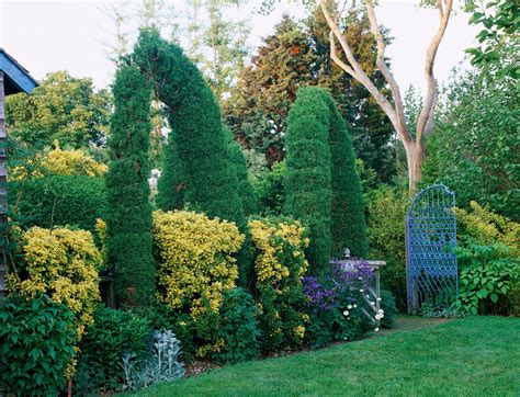 Use Evergreens to Make an Impact - Better Homes & Gardens - balustradellc