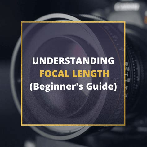 Use iPhone camera tools to set up your shot - Apple … - balustradellc