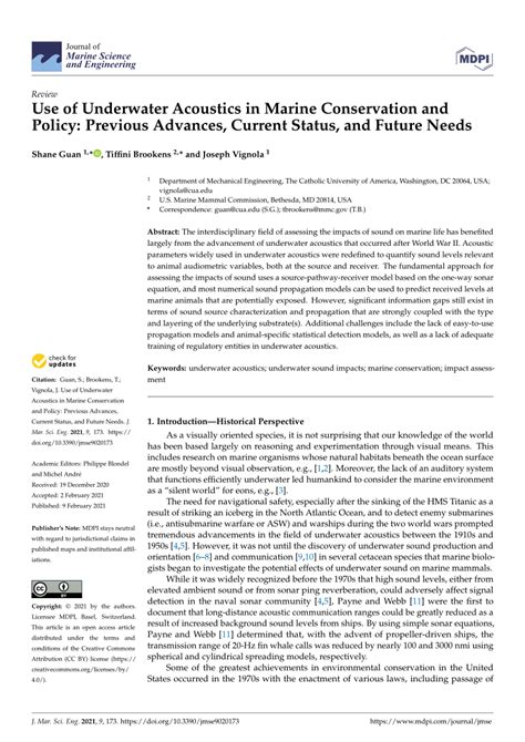 Use of Underwater Acoustics in Marine Conservation and Policy - raincitystudios.com