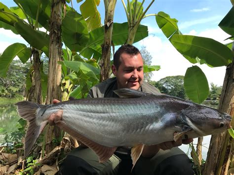 Use of Vietnamese plant extracts in striped catfish (Pangasianodon ... - raincitystudios.com