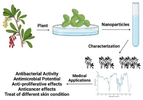 Use of ZnO nanoparticles for protecting oil paintings on paper support ... - balustradellc