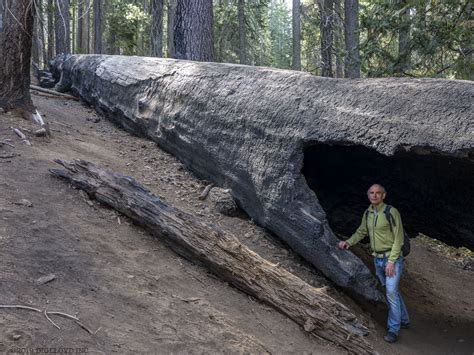 Used Macs - Buy Cheap Refurbished Apple Computers … - balustradellc