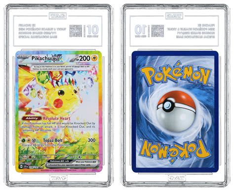 Using authentication and grading services - eBay - balustradellc