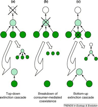 Using community viability analysis to identify fragile systems and ... - raincitystudios.com