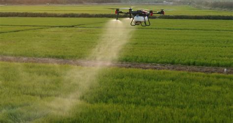 Using Drones for Spray Application - Adoption Trends in US and ... - balustradellc