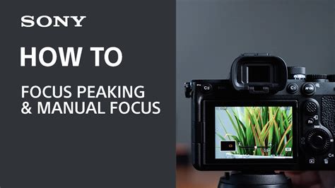 Using Focus Peaking on your Sony Camera - balustradellc