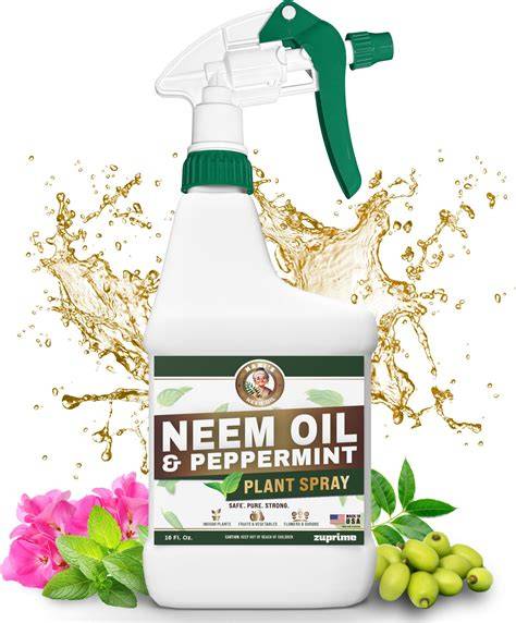 Using Garden Spray Recipes 101: Neem Oil ... - The … - raincitystudios.com