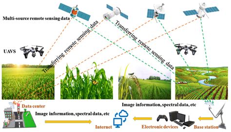 Using GPS for Precise Tree and Plant Marking | Live to Plant - raincitystudios.com