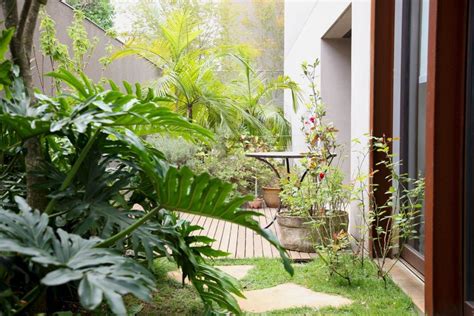 using lihat dahan pohon di halaman rumah sudah mulai rimbun dan ... - balustradellc