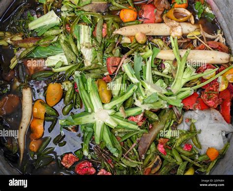 Using Only Kitchen Waste Organic Fertilizer, Jupiter Grapes Produce ... - balustradellc