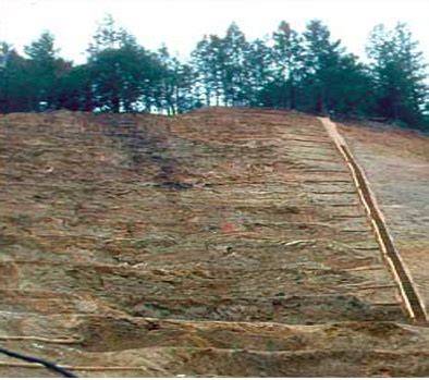 Using Terracing to Control Sediment Erosion on Slopes - Live to Plant - raincitystudios.com