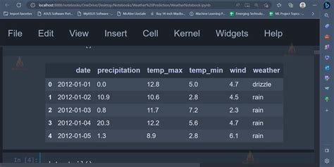 Using Weather Data for Machine Learning Models - coolestguyplanet.net
