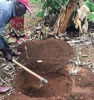 Using Zai pits to harvest scanty rain water - raincitystudios.com