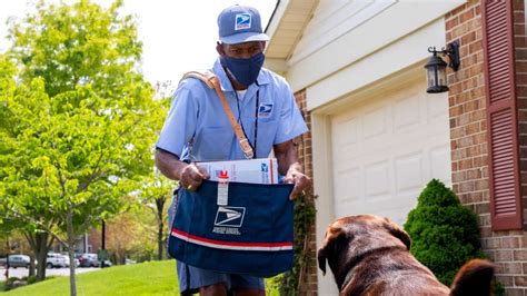 USPS releases its annual dog bite rankings — where California ranks