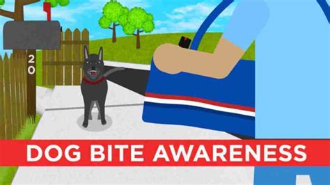 USPS releases its annual dog bite rankings — where San Diego ranks