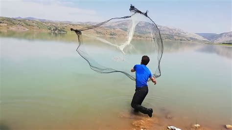 veodersti.rgarabwor.edu.pl. 