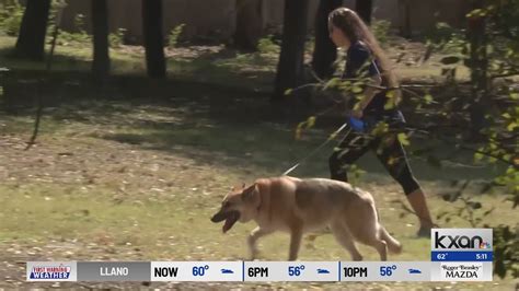UT Austin graduate behind new drug that may extend a dog’s lifespan
