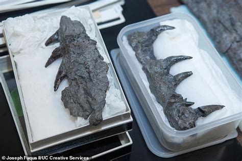 UT scientists discover fossils of Jurassic sea creatures that used to swim across Texas