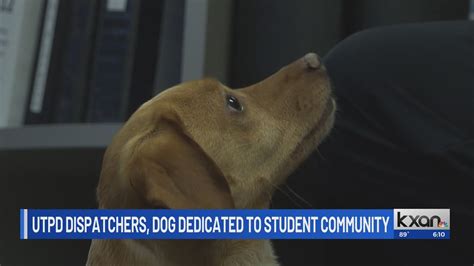 UTPD dispatchers, dog serve campus community