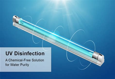 UV Disinfection - an overview | ScienceDirect Topics - raincitystudios.com
