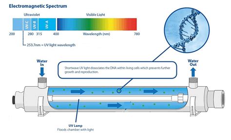 UV Sterilizer Comparison