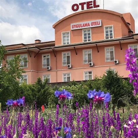 codini.rgarabwor.edu.pl. 