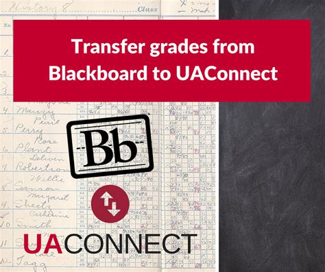 UAConnect help guide provides a list of topics from adding classes to allowing parental access and making payments. . Uaconnext
