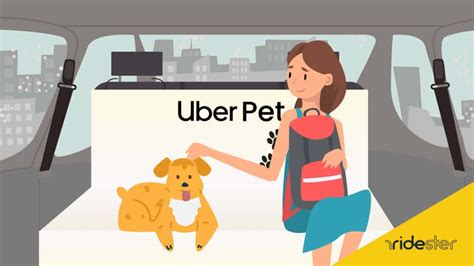 Uber Pet: Pricing, Availability, & More Ridester.com