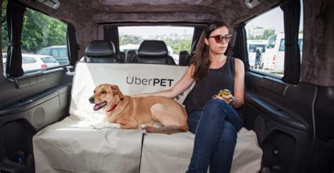 Uber pet. What is Uber Pet? Uber Pet allows you to bring your pet on an Uber trip. Note: In accordance with Uber’s policies on service animals, service animals are permitted to accompany riders at all times without extra charge, regardless of whether it is a Pet Friendly Trip.Your federal and local laws may also require service animals to be accommodated … 