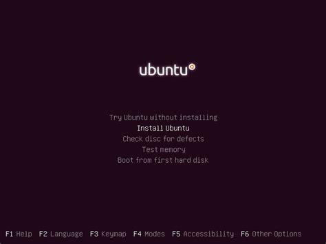 Ubuntu boot options.  It can be used to boot a compatible computer and start a ...
