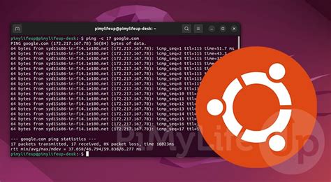 Ubuntu can t ping gateway.  Automatic updates were also activated on both machines, ha...