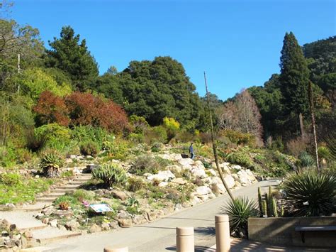 Uc botanical garden. Things To Know About Uc botanical garden. 