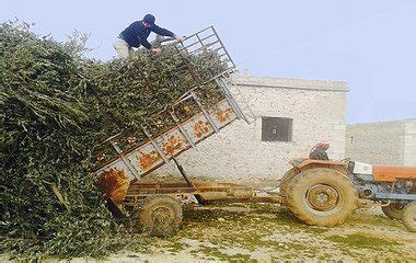 Uckubbe Halı ve Koltuk Yıkama