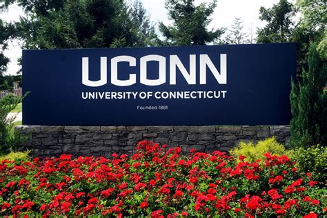 Uconn student email. Things To Know About Uconn student email. 