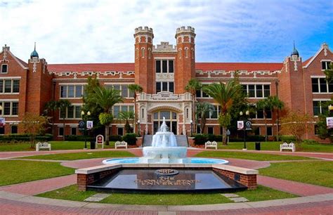  School: University of Florida - UF Associat