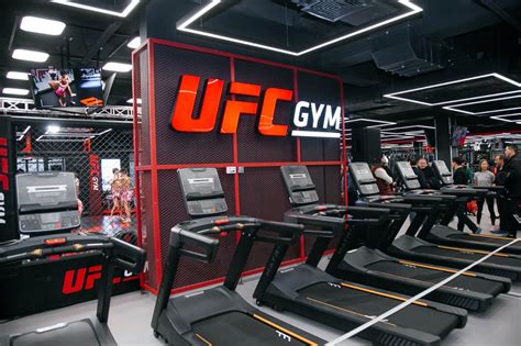 Ufc gym. Things To Know About Ufc gym. 