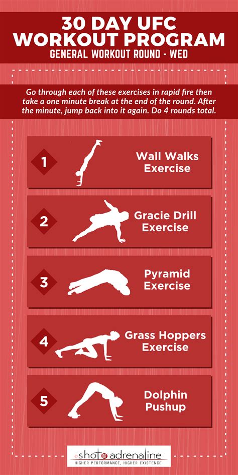 Ufc training workouts at home. .  <a href=https://admin.plana.vision/assets/imag...