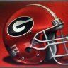 The Dawgvent UGASports Vault Hoop Dawgs The Dawgchat Kudzu Hill Dawg Trade The Main Board New posts Trending Search forums. Football. Scores/Schedule Roster Statistics Depth Chart Scholarship Distribution. ... The Dawgvent. The Grandaddy of all Georgia Bulldogs message boards and where the news breaks.. 