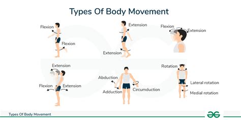 Uhc module 2.  All movements can be done seated and will work your cor...