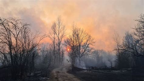 Ukraine : un feu de forêt fait grimper le niveau de …