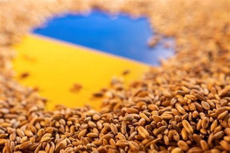 Ukraine Reduces Grain Exports By 12.7% To 39.5 Million …