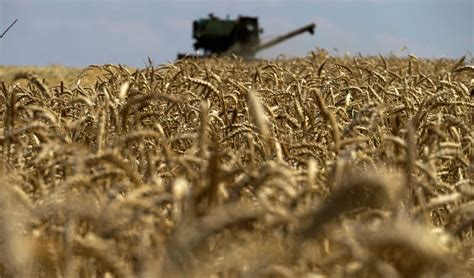 Ukraine criticizes Poland’s move to ban all its agricultural products