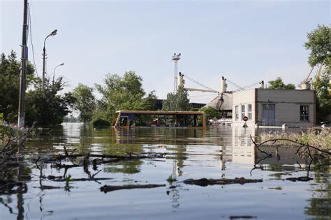 Ukraine dam disaster: WHO requests access to Russian-occupied territory