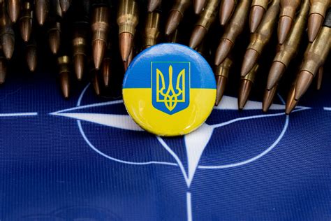 Ukraine doubles down on joining NATO ‘very, very’ soon after war