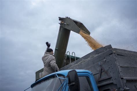 Ukraine has a new way to get its grain to the world despite Russia’s threat in the Black Sea