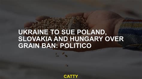 Ukraine sues Poland, Hungary and Slovakia over  import bans