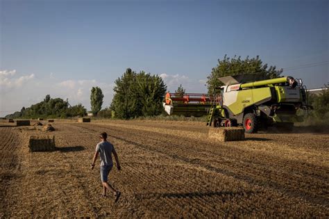 Ukraine will sue Poland, Hungary and Slovakia over agricultural bans